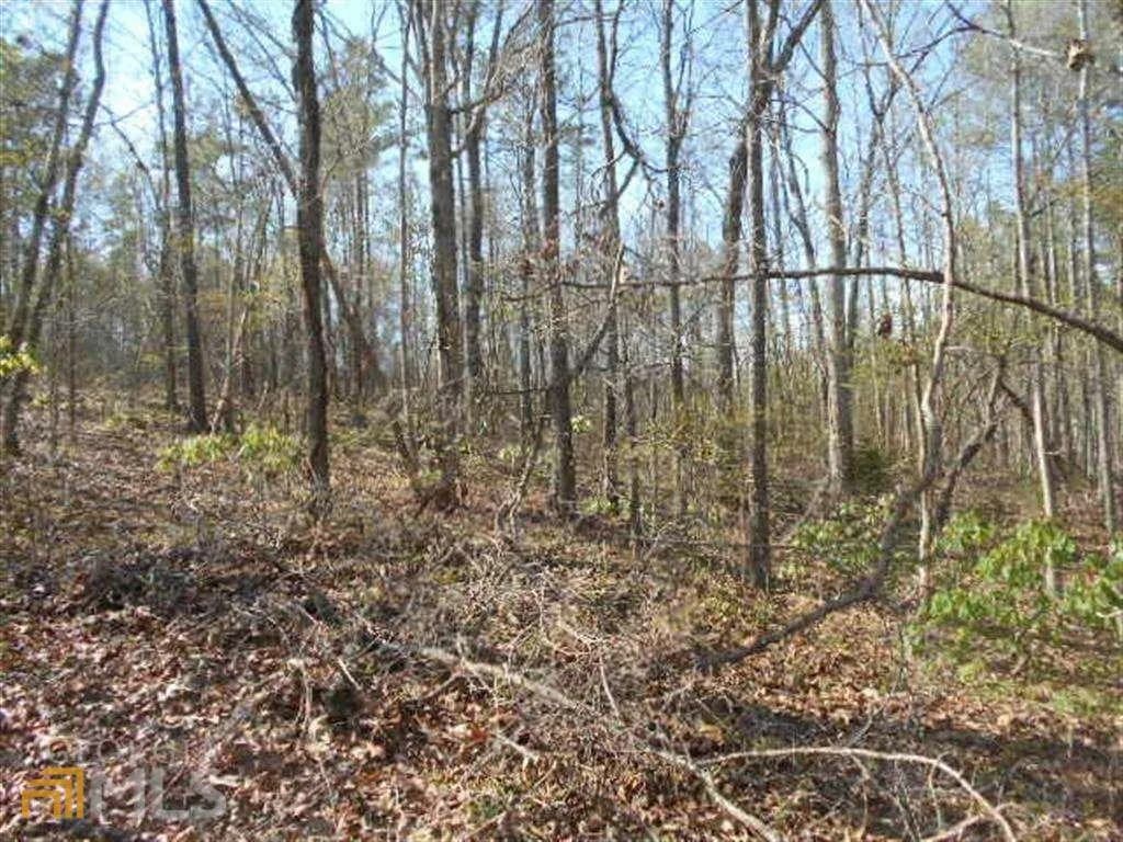 0 Nebo Rd — photo 2 of 13