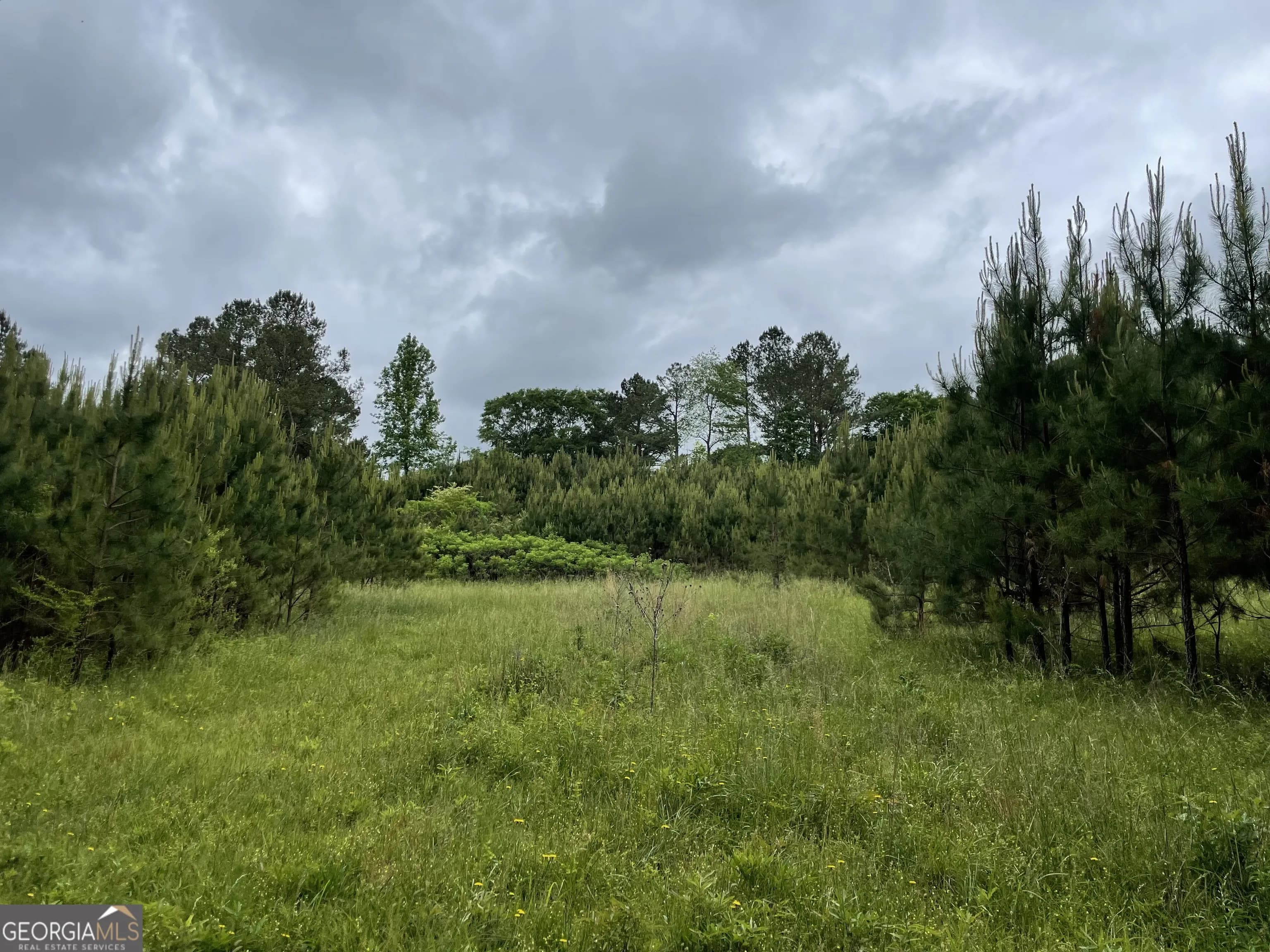 216 Mcmichen Rd — photo 9 of 15
