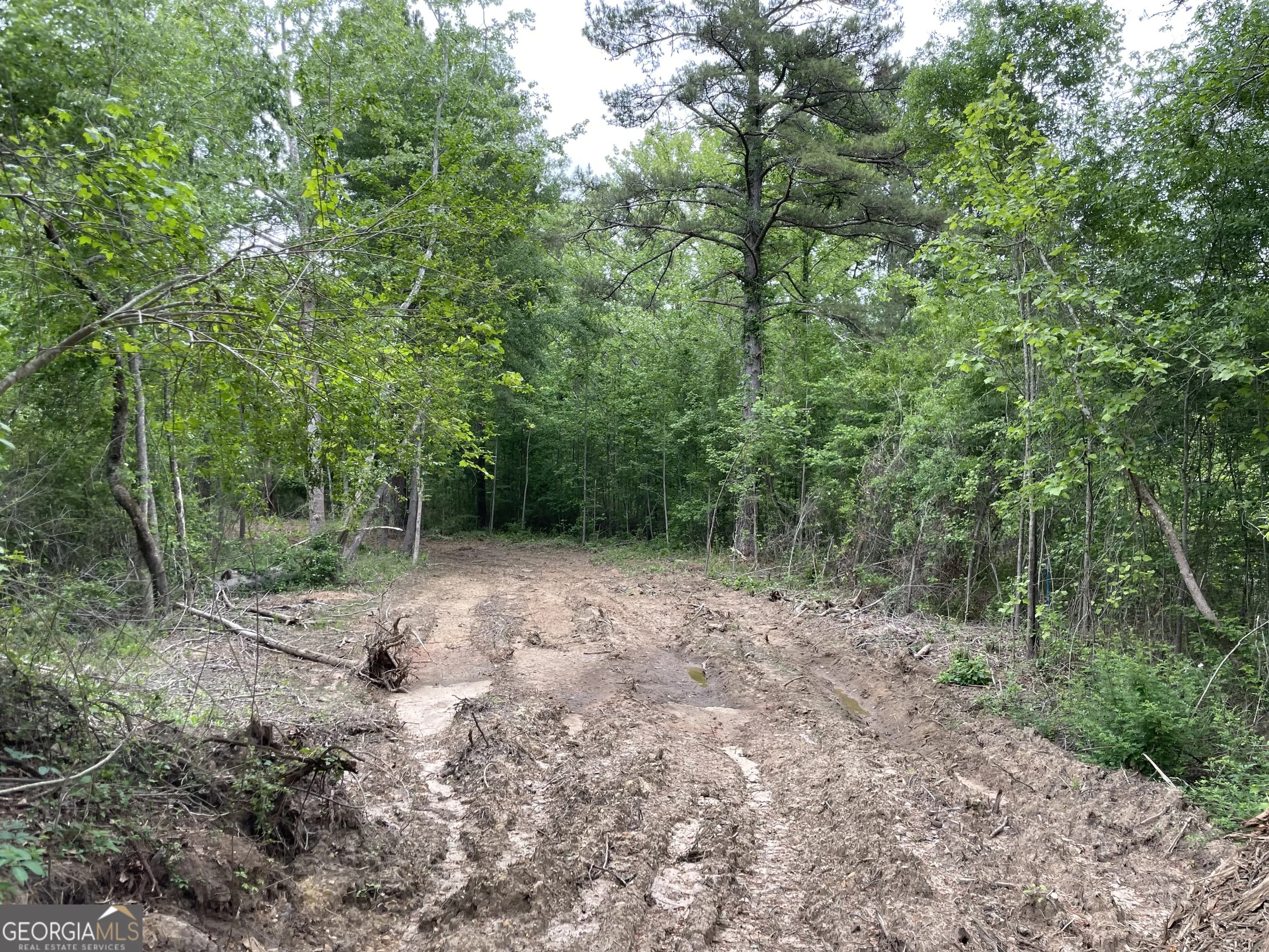 216 Mcmichen Rd — photo 4 of 15