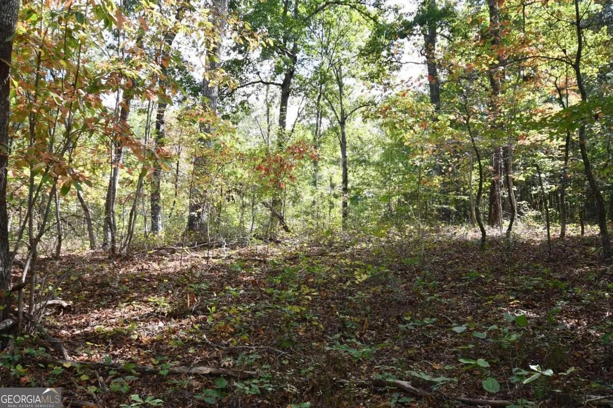 00001 Poplar Springs Rd — photo 61 of 71