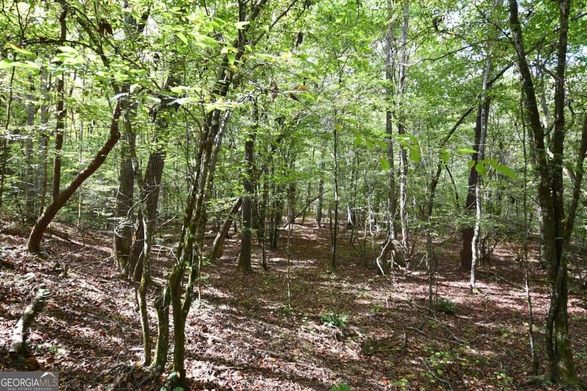 00001 Poplar Springs Rd — photo 20 of 71