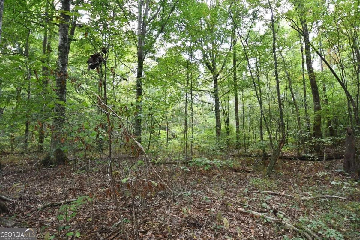 00001 Poplar Springs Rd — photo 48 of 71