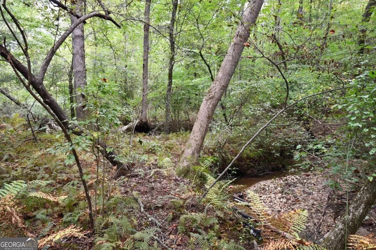 00001 Poplar Springs Rd — photo 41 of 71