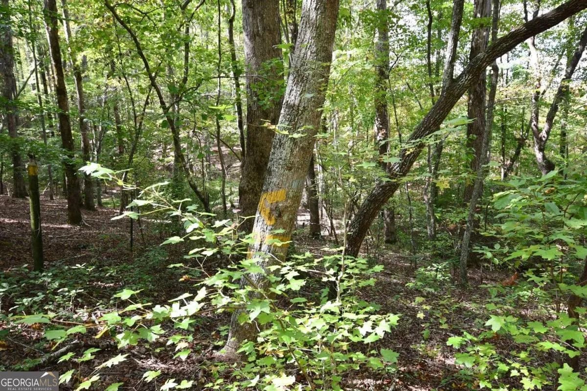00001 Poplar Springs Rd — photo 59 of 71