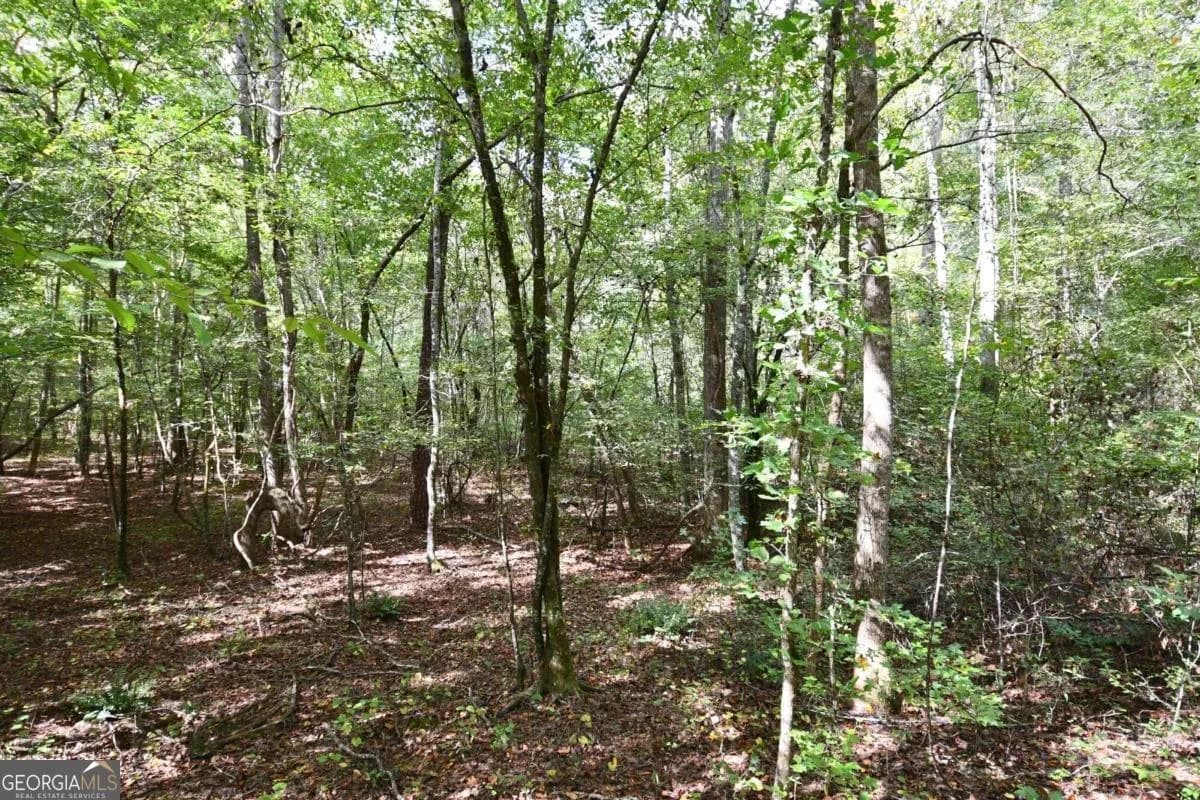 00001 Poplar Springs Rd — photo 21 of 71