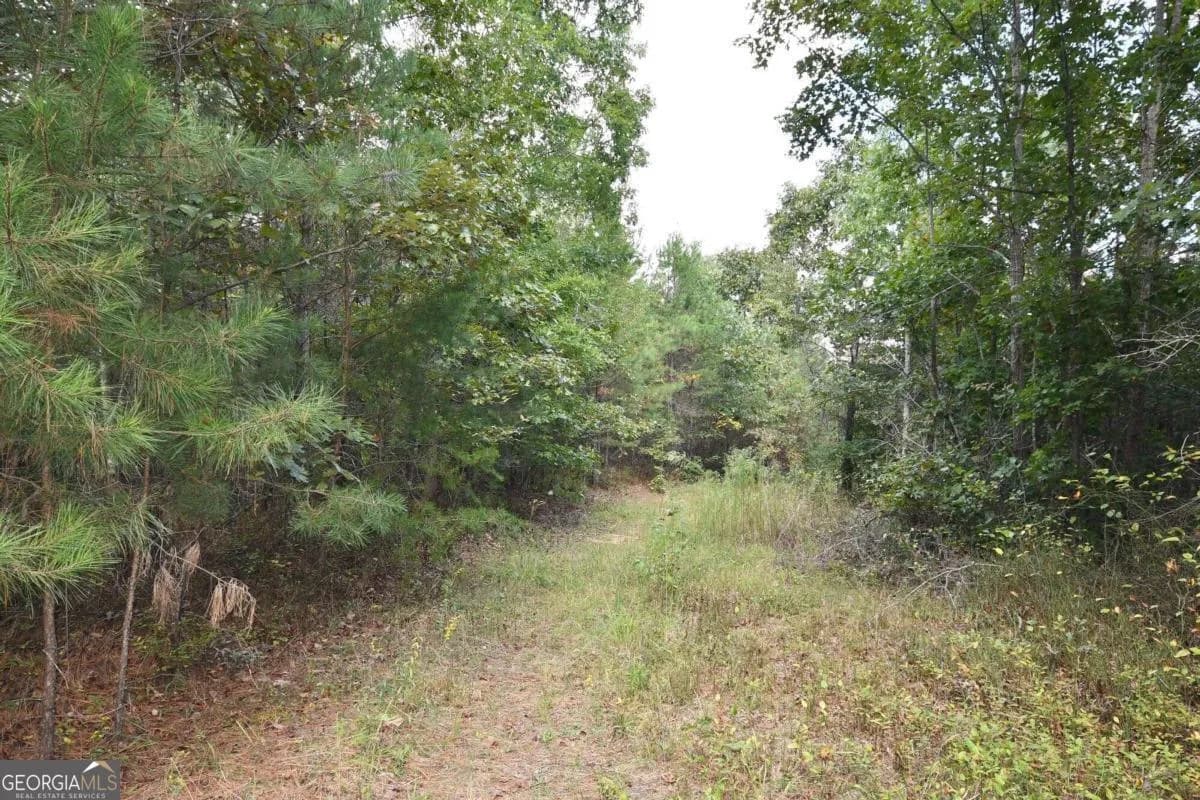 00001 Poplar Springs Rd — photo 64 of 71