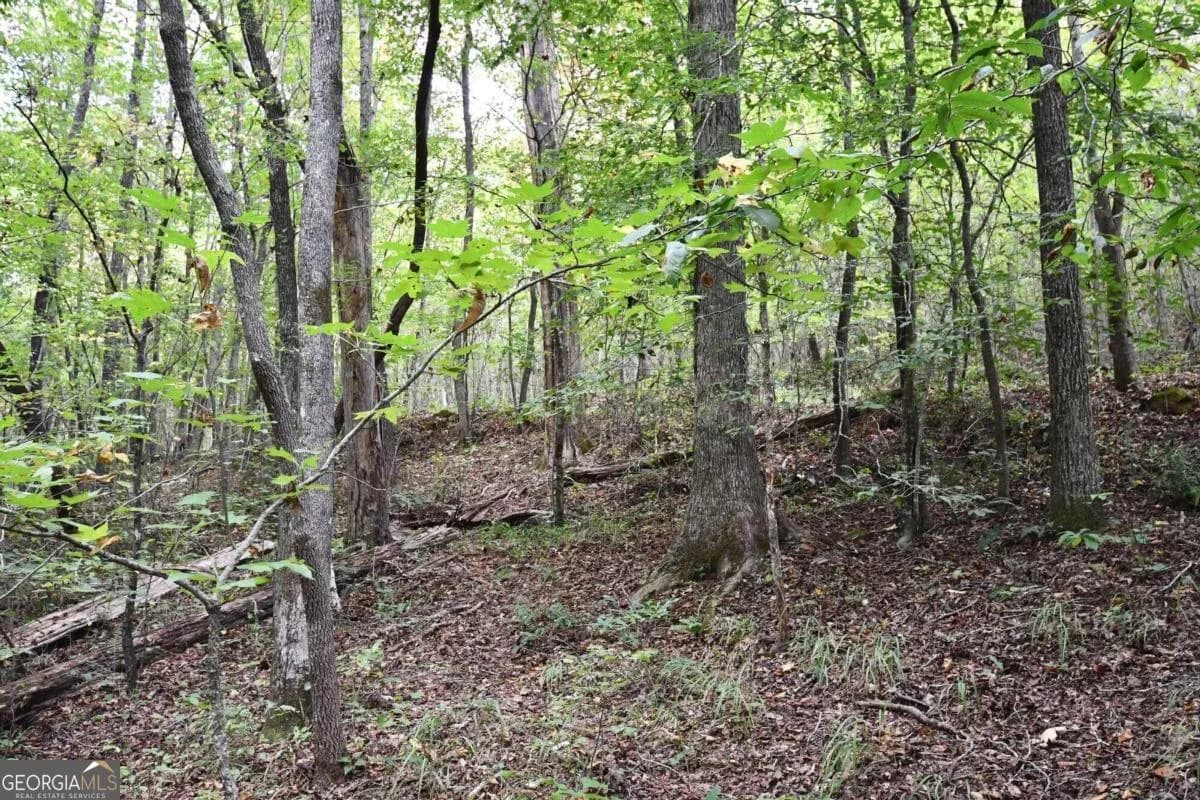 00001 Poplar Springs Rd — photo 40 of 71