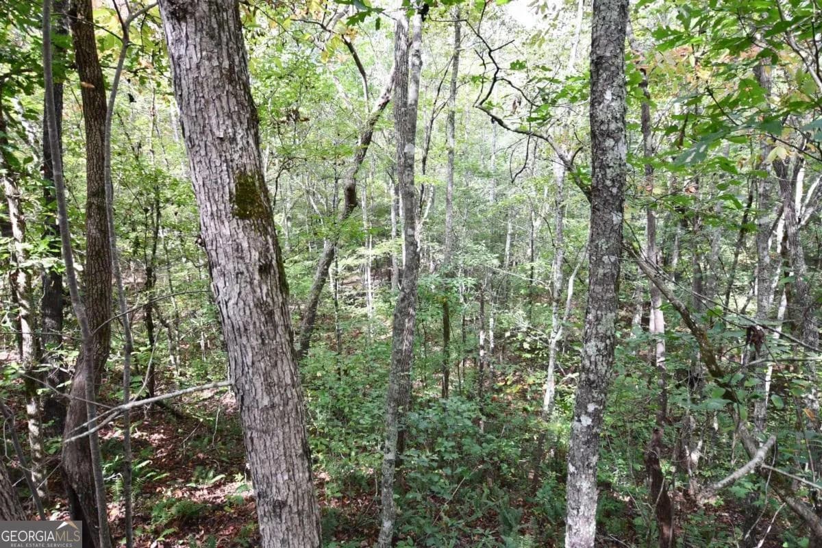 00001 Poplar Springs Rd — photo 29 of 71