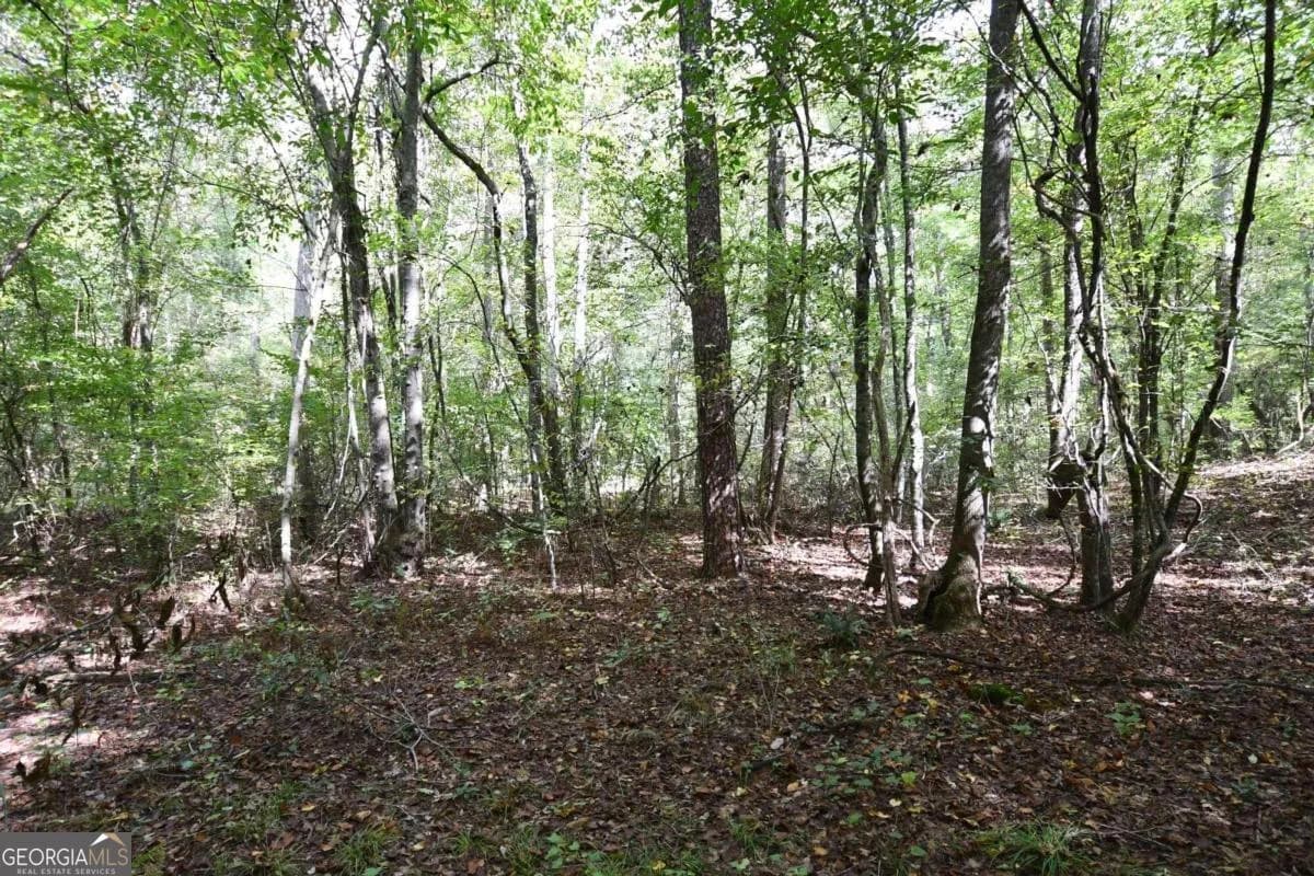 00001 Poplar Springs Rd — photo 26 of 71