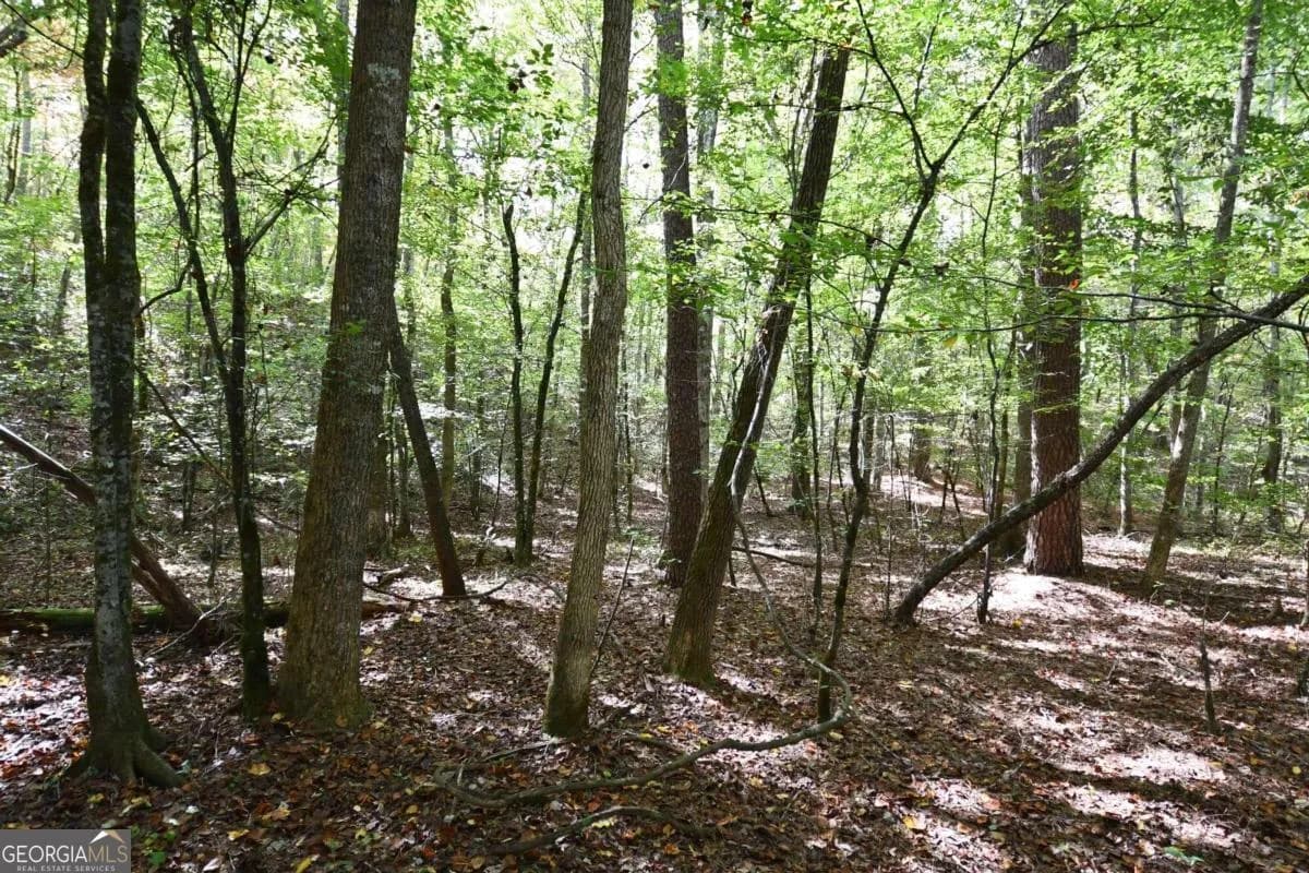 00001 Poplar Springs Rd — photo 23 of 71