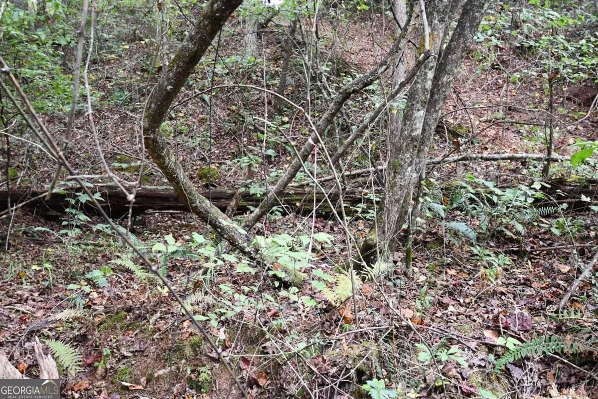 00001 Poplar Springs Rd — photo 45 of 71
