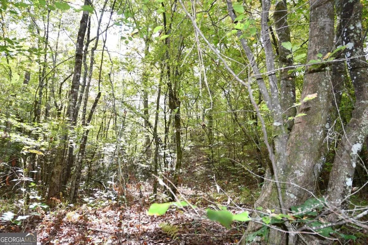 00001 Poplar Springs Rd — photo 18 of 71