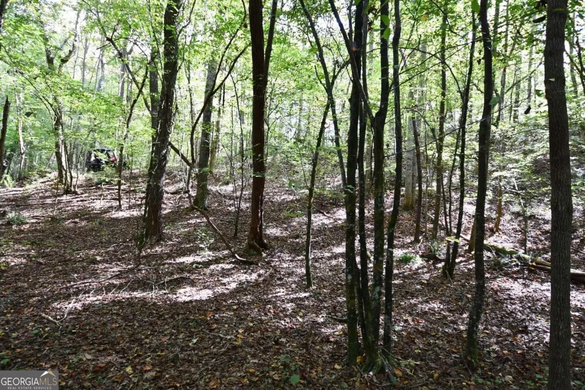 00001 Poplar Springs Rd — photo 25 of 71