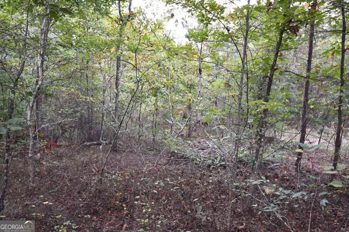 00001 Poplar Springs Rd — photo 63 of 71