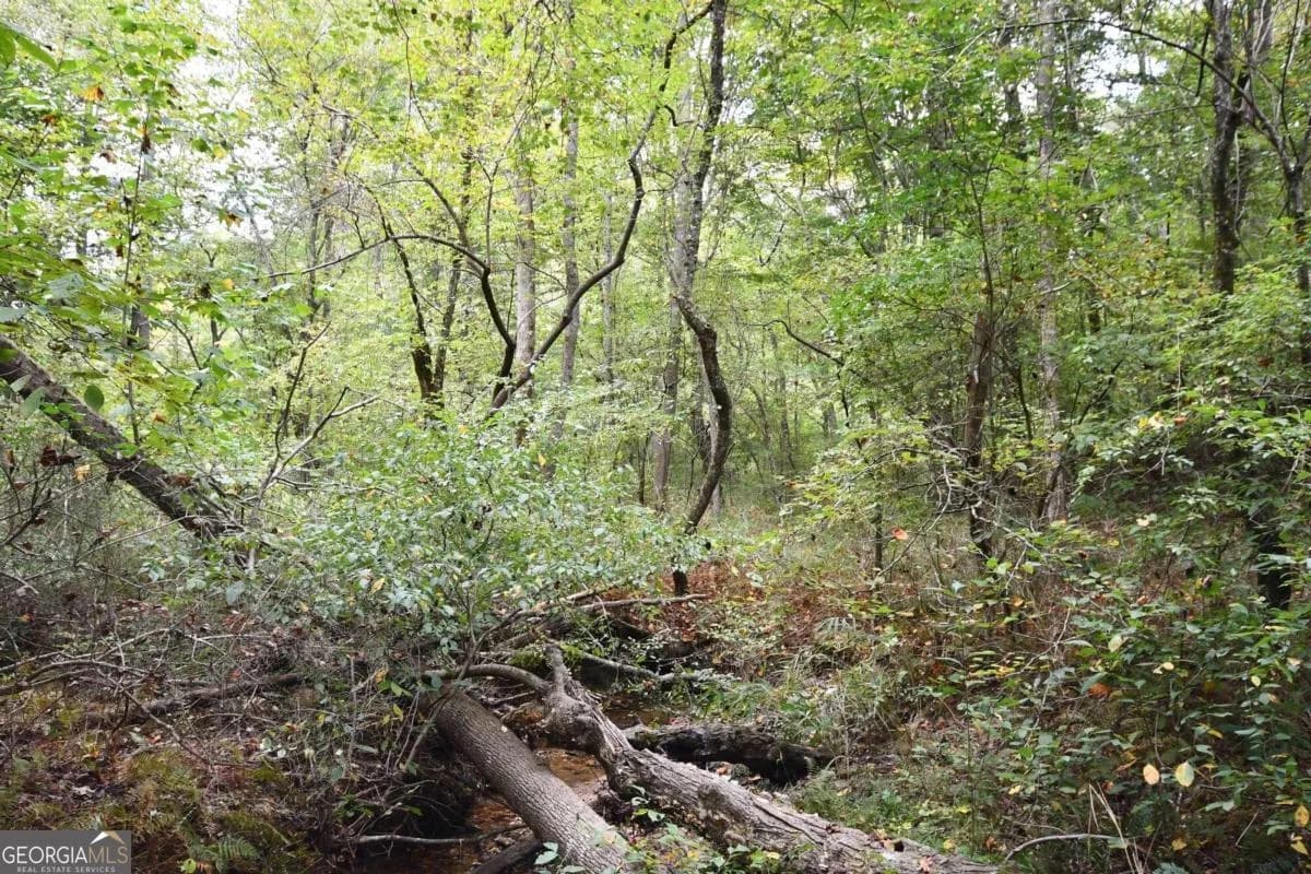 00001 Poplar Springs Rd — photo 42 of 71