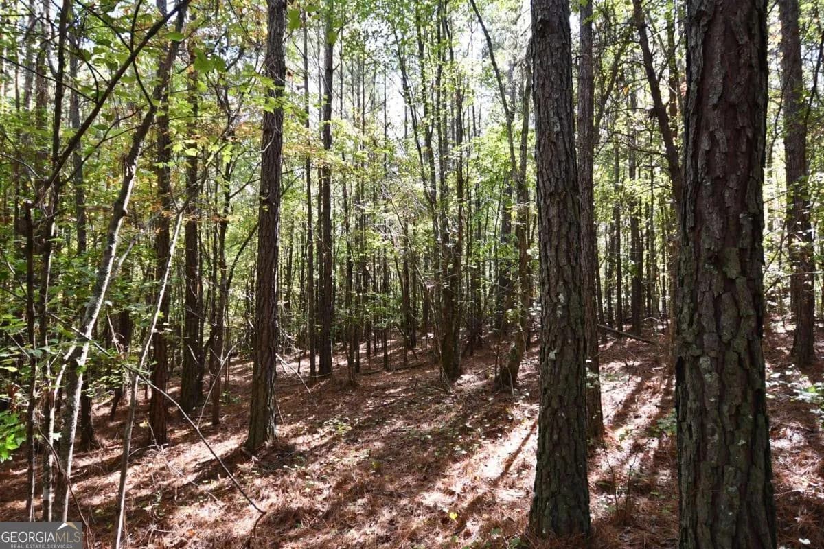 00001 Poplar Springs Rd — photo 2 of 71