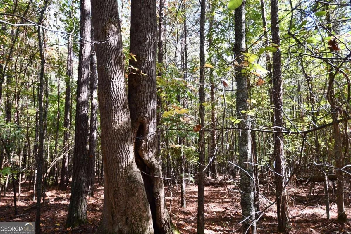 00001 Poplar Springs Rd — photo 13 of 71