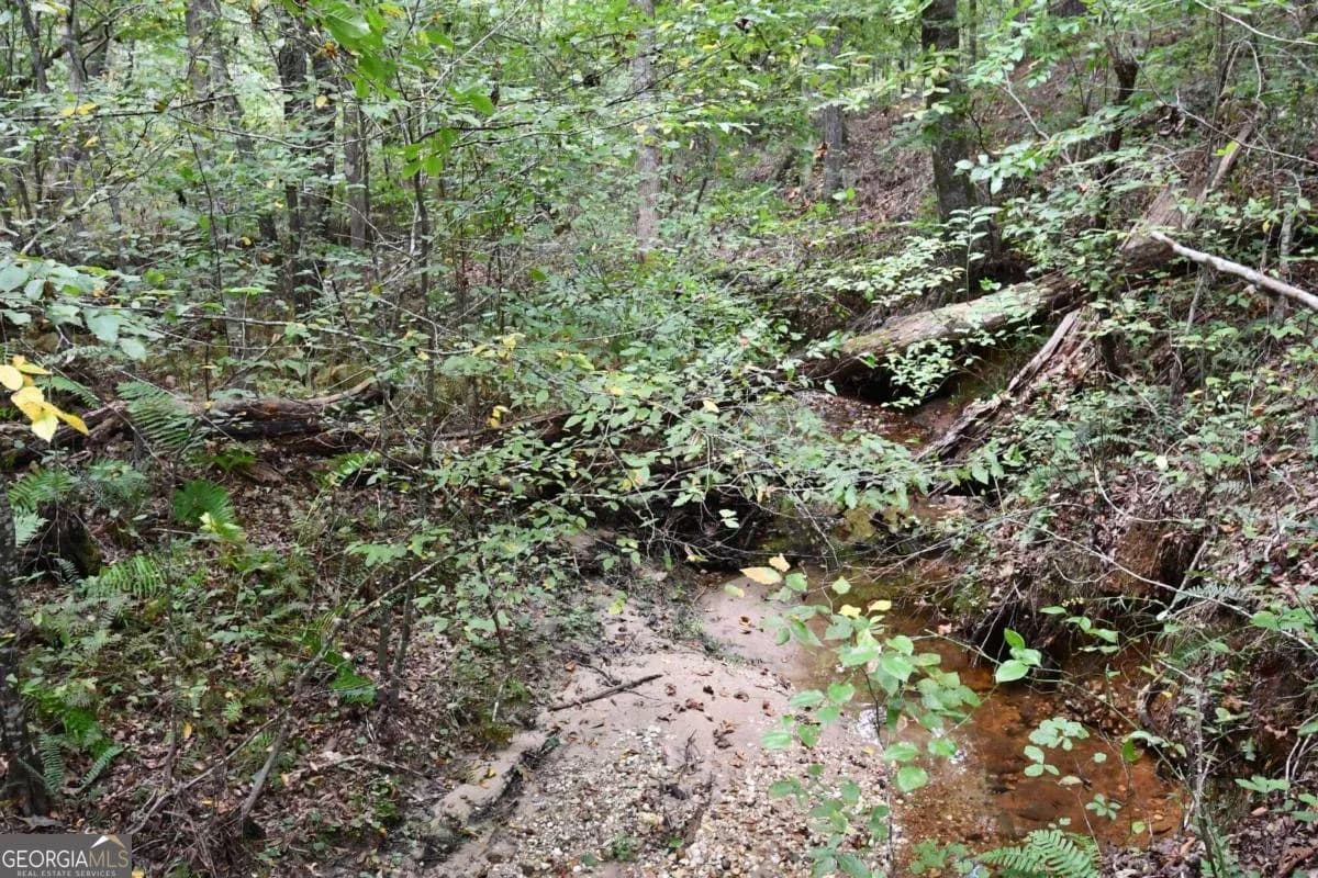 00001 Poplar Springs Rd — photo 39 of 71