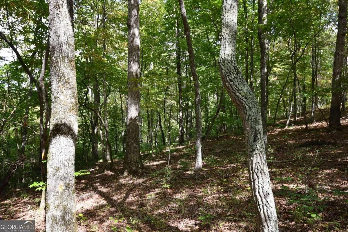 00001 Poplar Springs Rd — photo 58 of 71