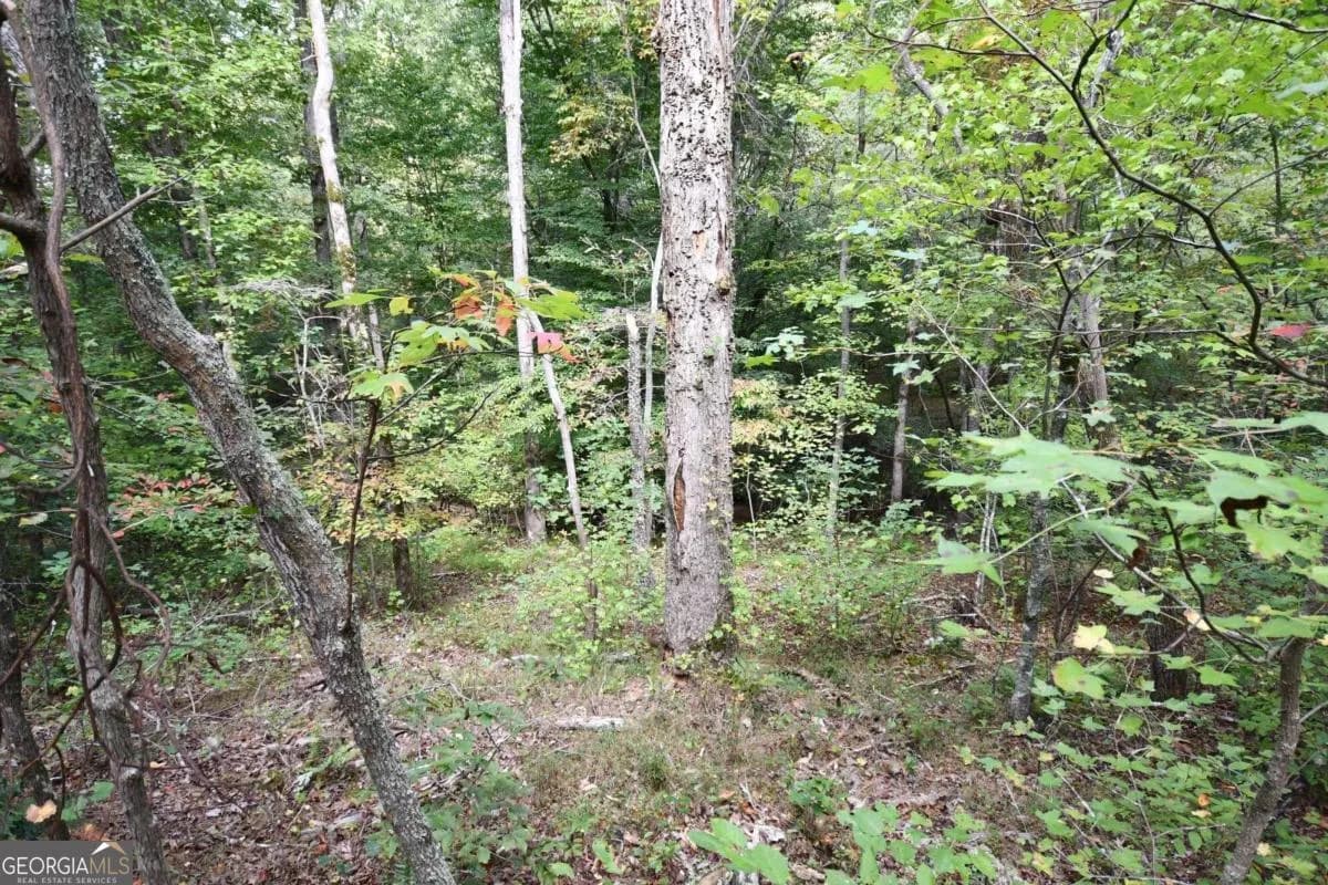 00001 Poplar Springs Rd — photo 32 of 71