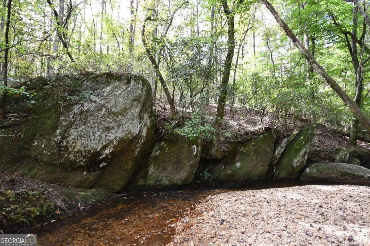 00001 Poplar Springs Rd — photo 14 of 71