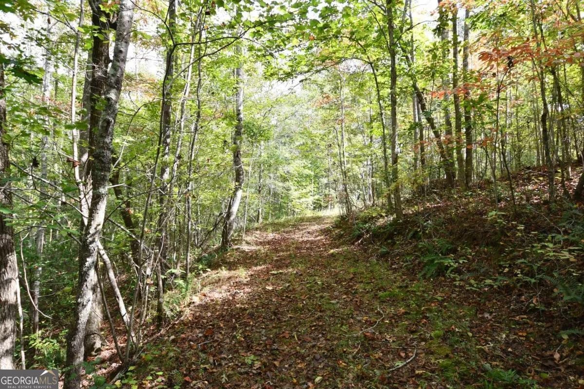 00001 Poplar Springs Rd — photo 30 of 71