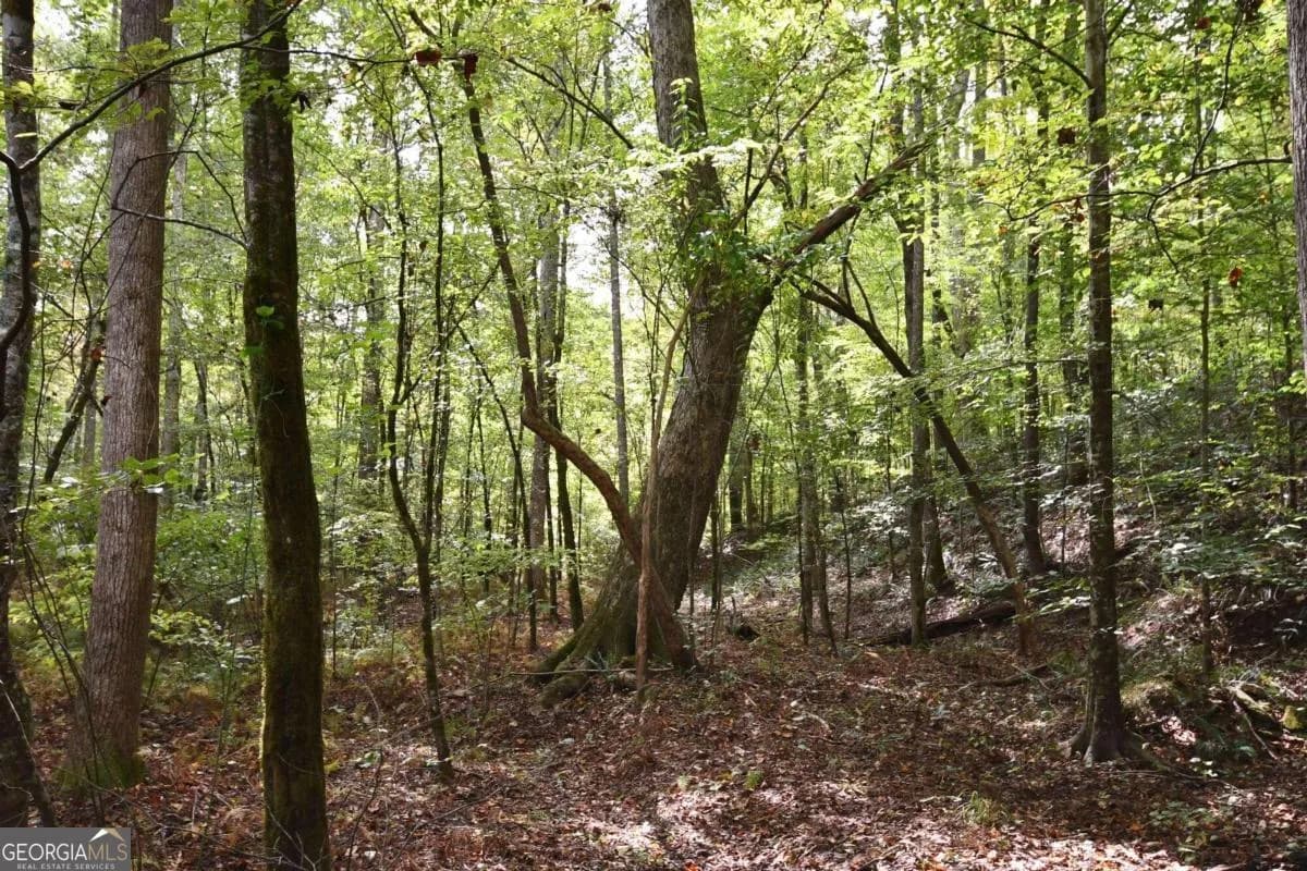 00001 Poplar Springs Rd — photo 49 of 71
