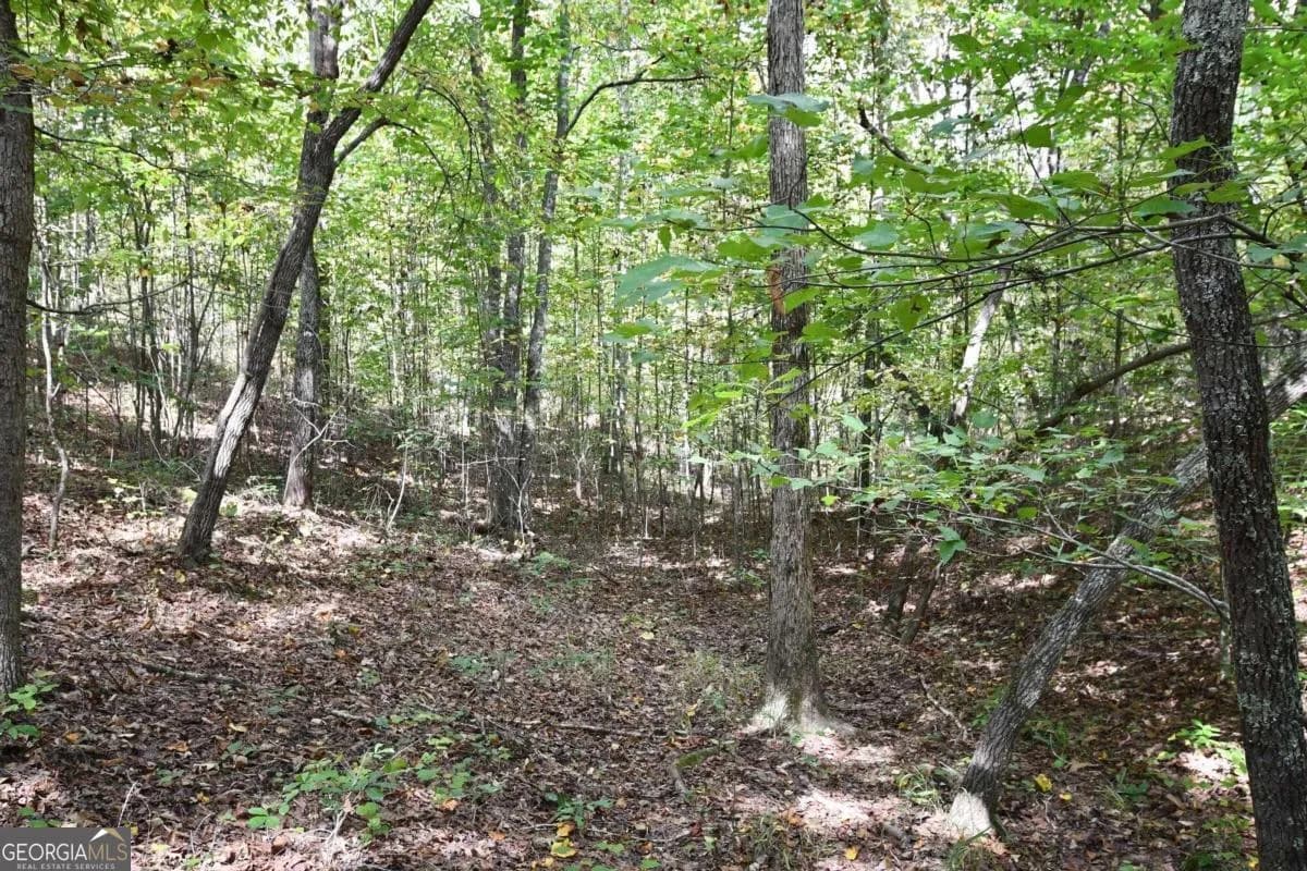 00001 Poplar Springs Rd — photo 56 of 71