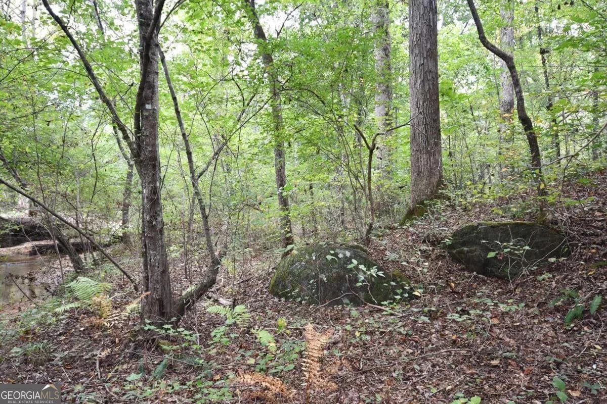 00001 Poplar Springs Rd — photo 47 of 71