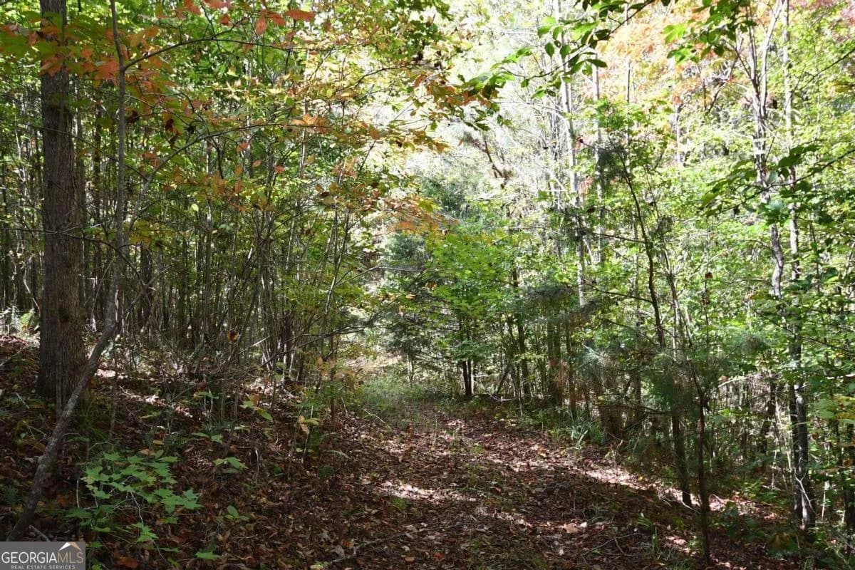 00001 Poplar Springs Rd — photo 31 of 71