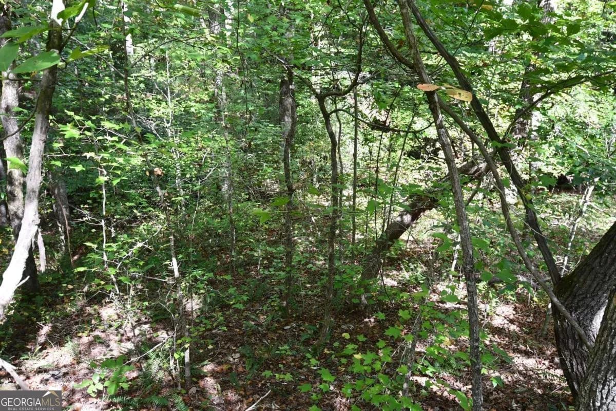 00001 Poplar Springs Rd — photo 36 of 71