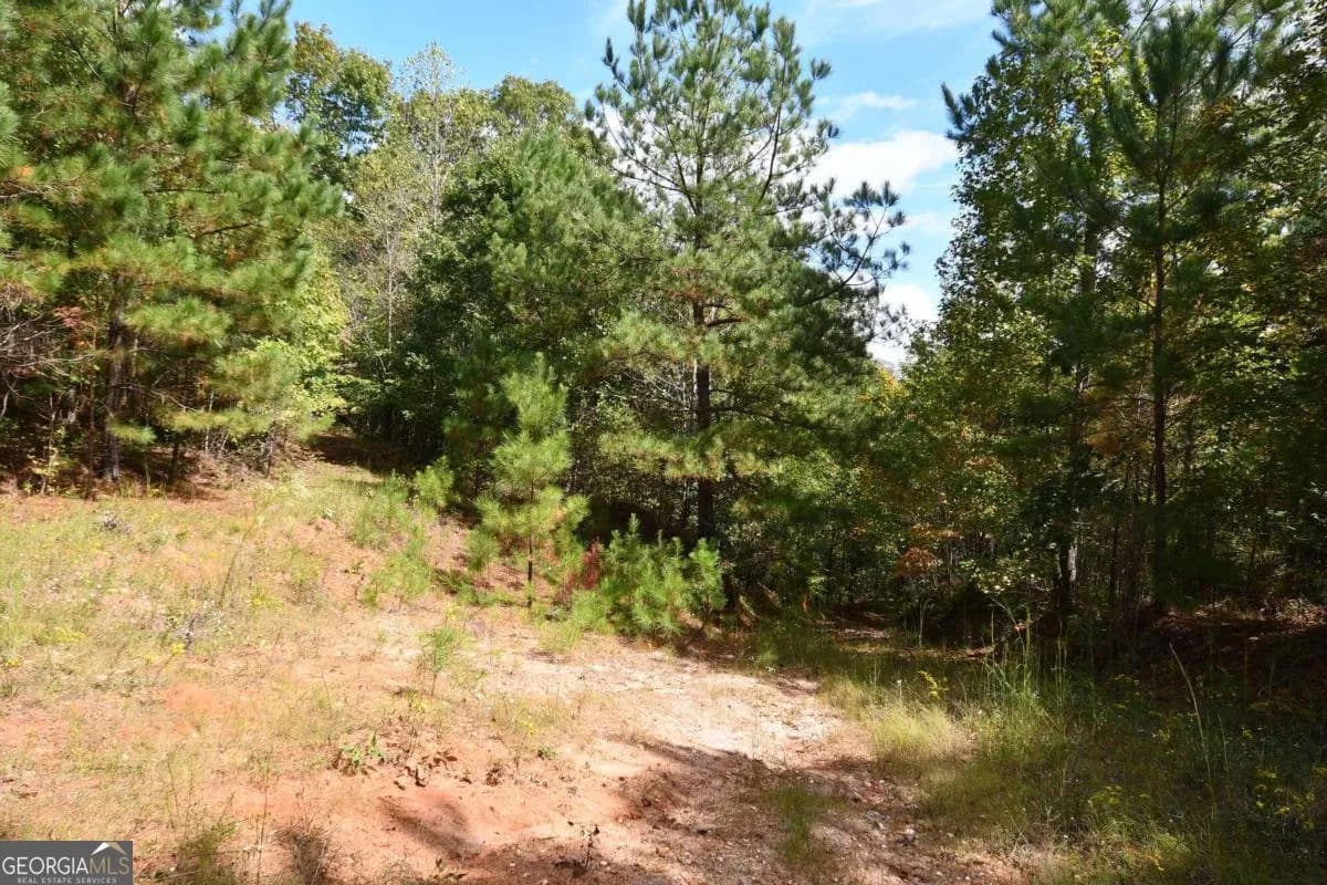 00001 Poplar Springs Rd — photo 66 of 71