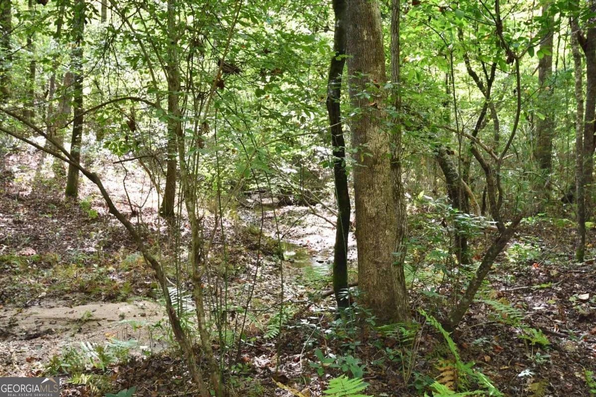 00001 Poplar Springs Rd — photo 51 of 71