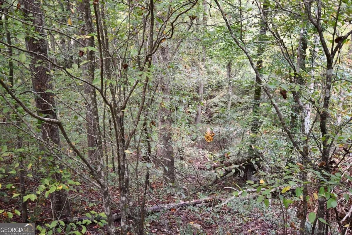 00001 Poplar Springs Rd — photo 37 of 71