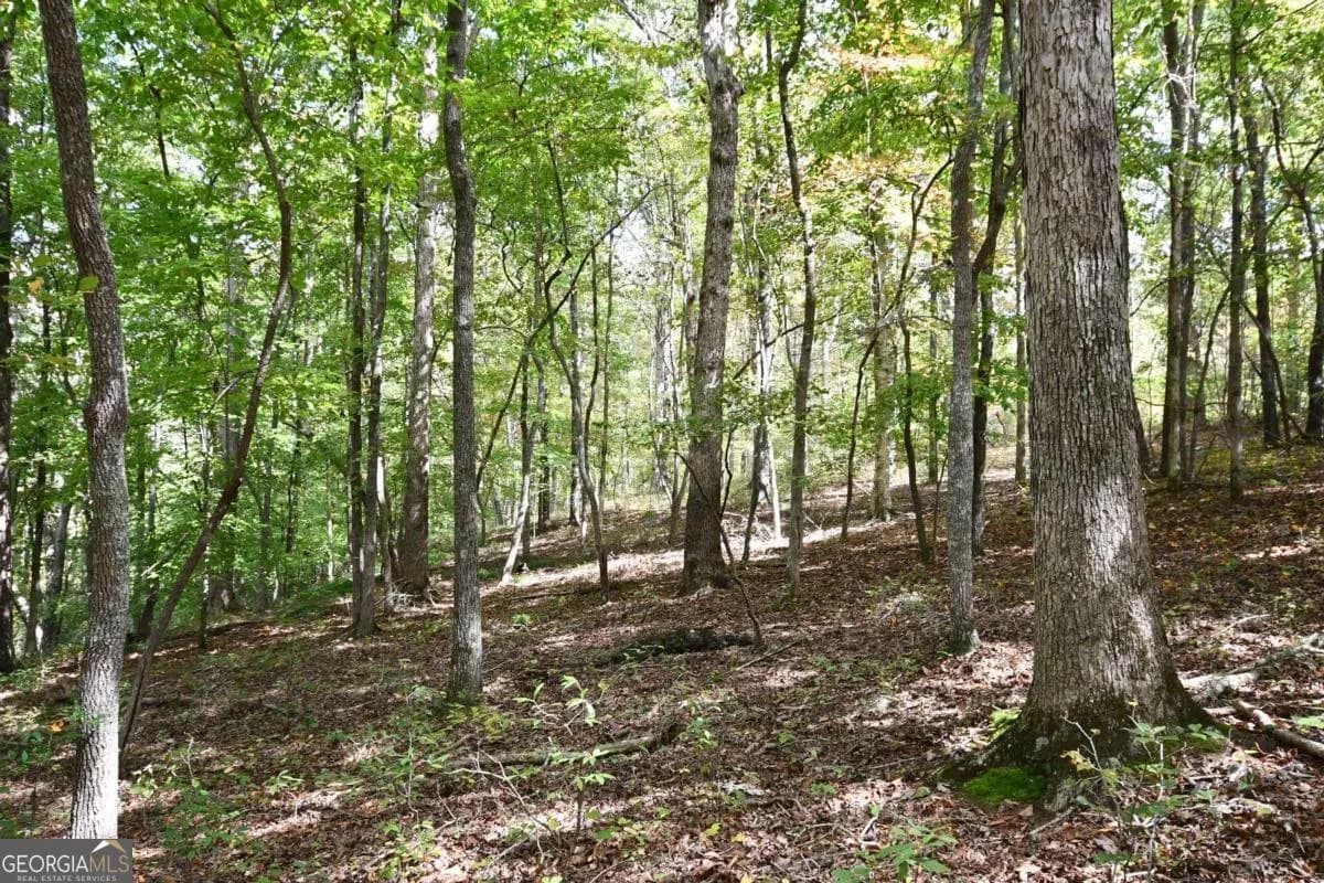 00001 Poplar Springs Rd — photo 60 of 71
