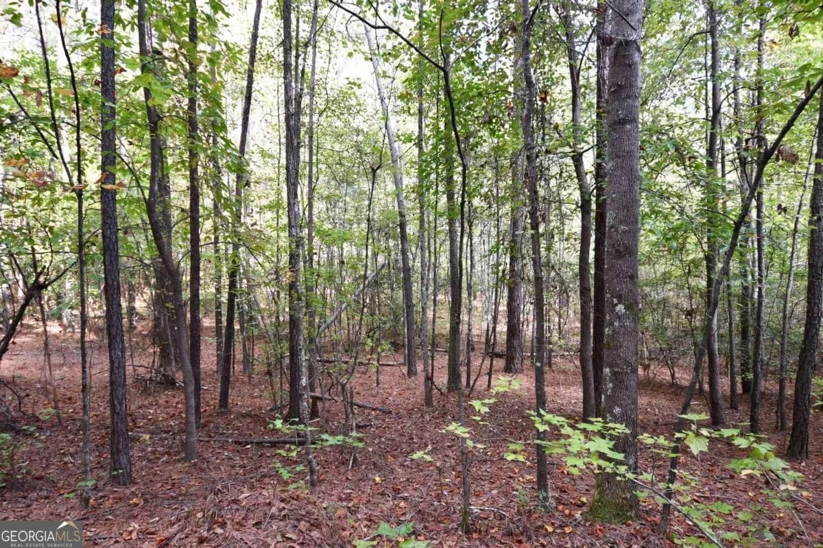 00001 Poplar Springs Rd — photo 35 of 71