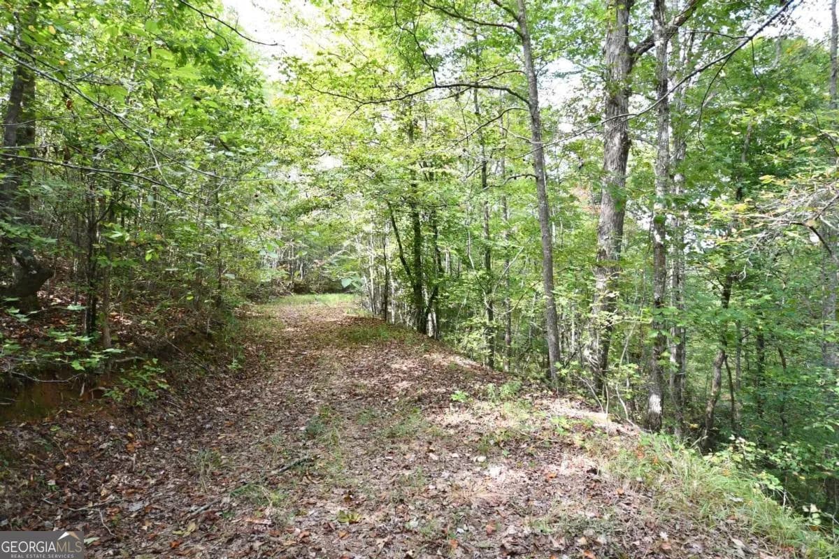 00001 Poplar Springs Rd — photo 33 of 71