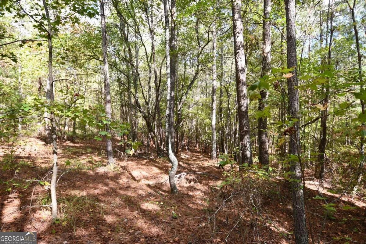 00001 Poplar Springs Rd — photo 46 of 71