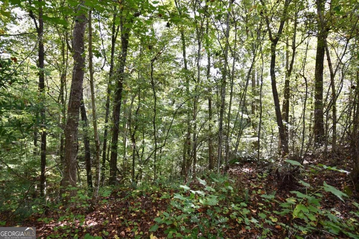 00001 Poplar Springs Rd — photo 27 of 71