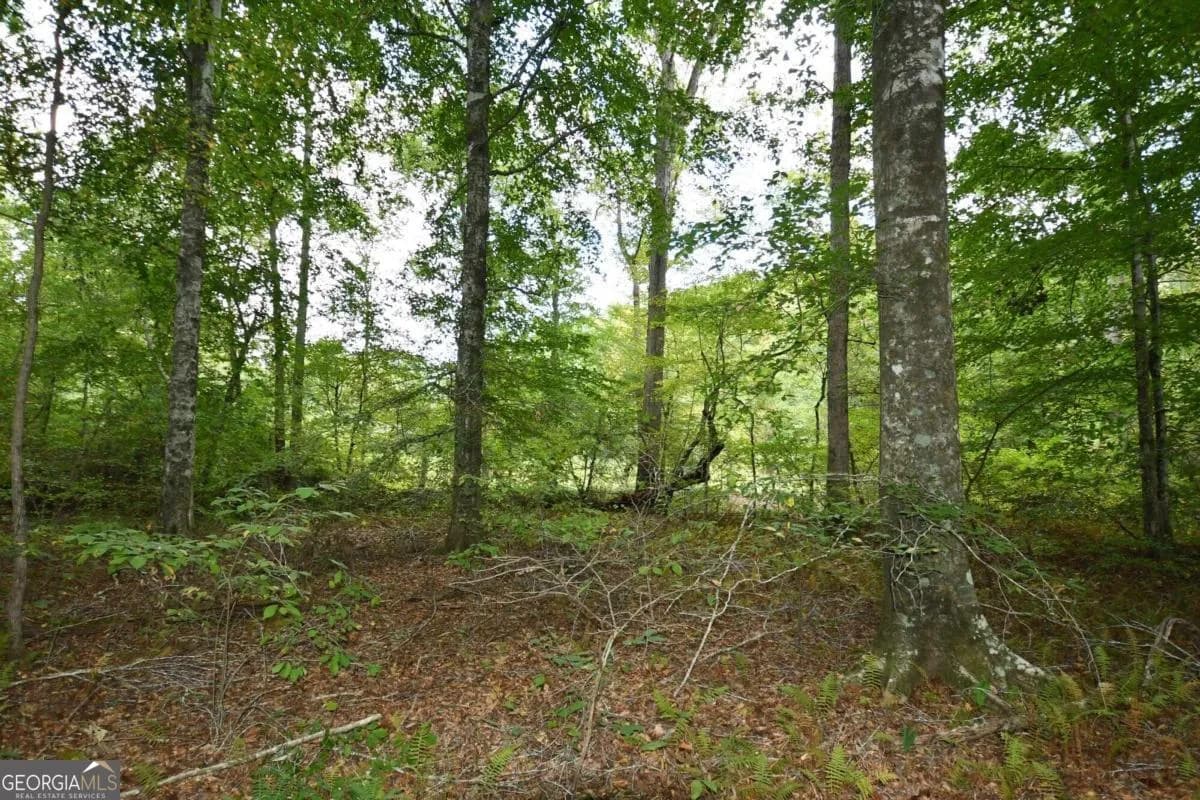 00001 Poplar Springs Rd — photo 43 of 71