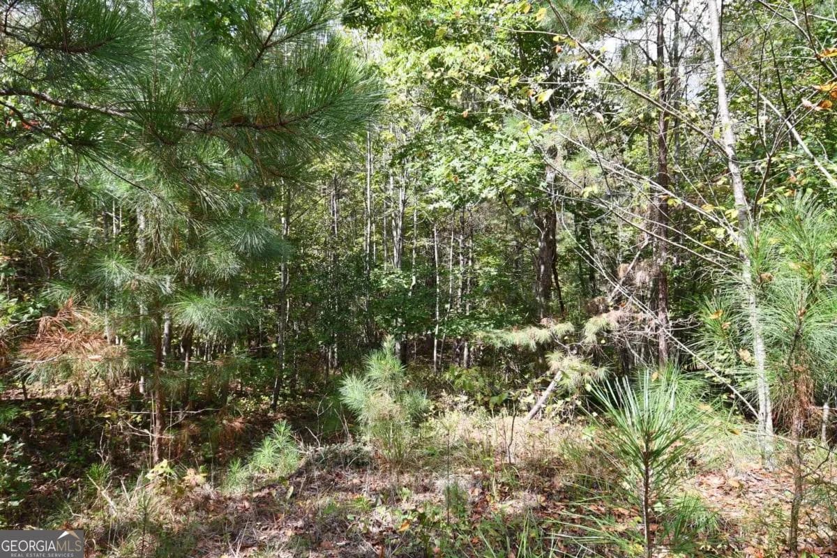 00001 Poplar Springs Rd — photo 69 of 71
