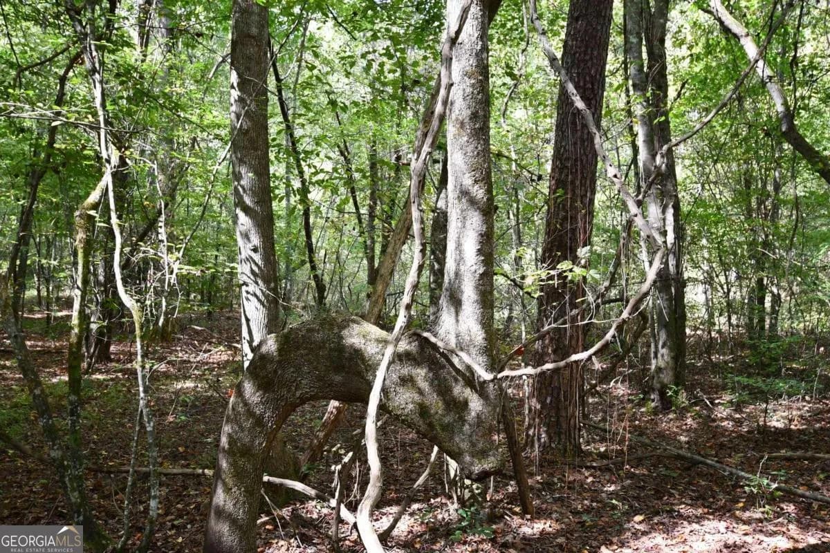 00001 Poplar Springs Rd — photo 22 of 71