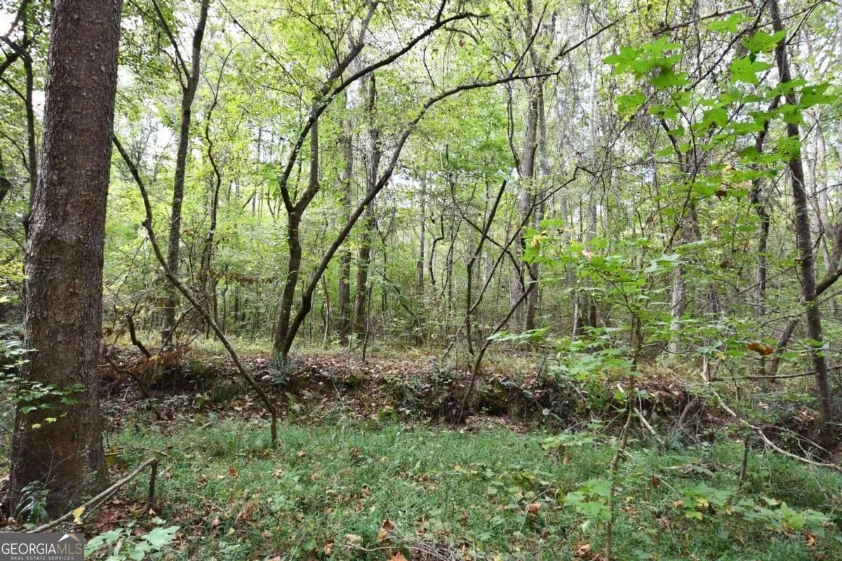 00001 Poplar Springs Rd — photo 5 of 71