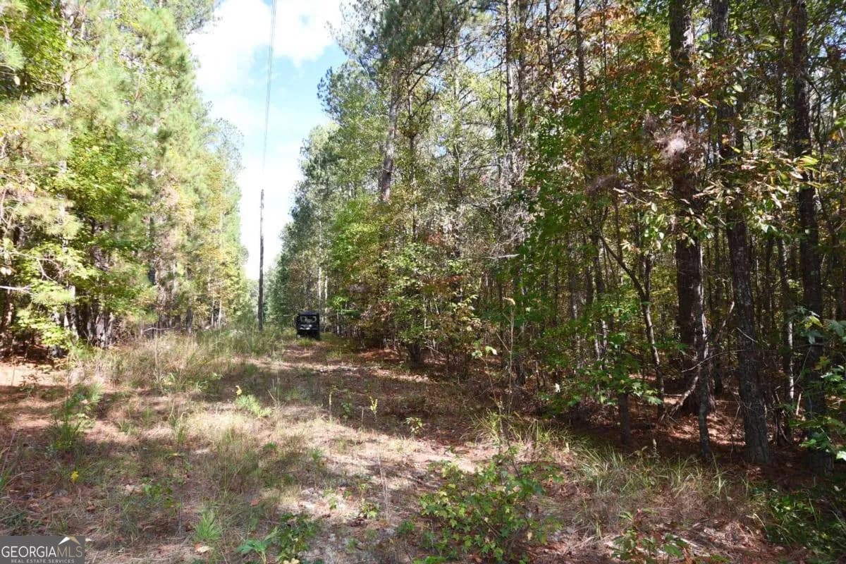 00001 Poplar Springs Rd — photo 68 of 71
