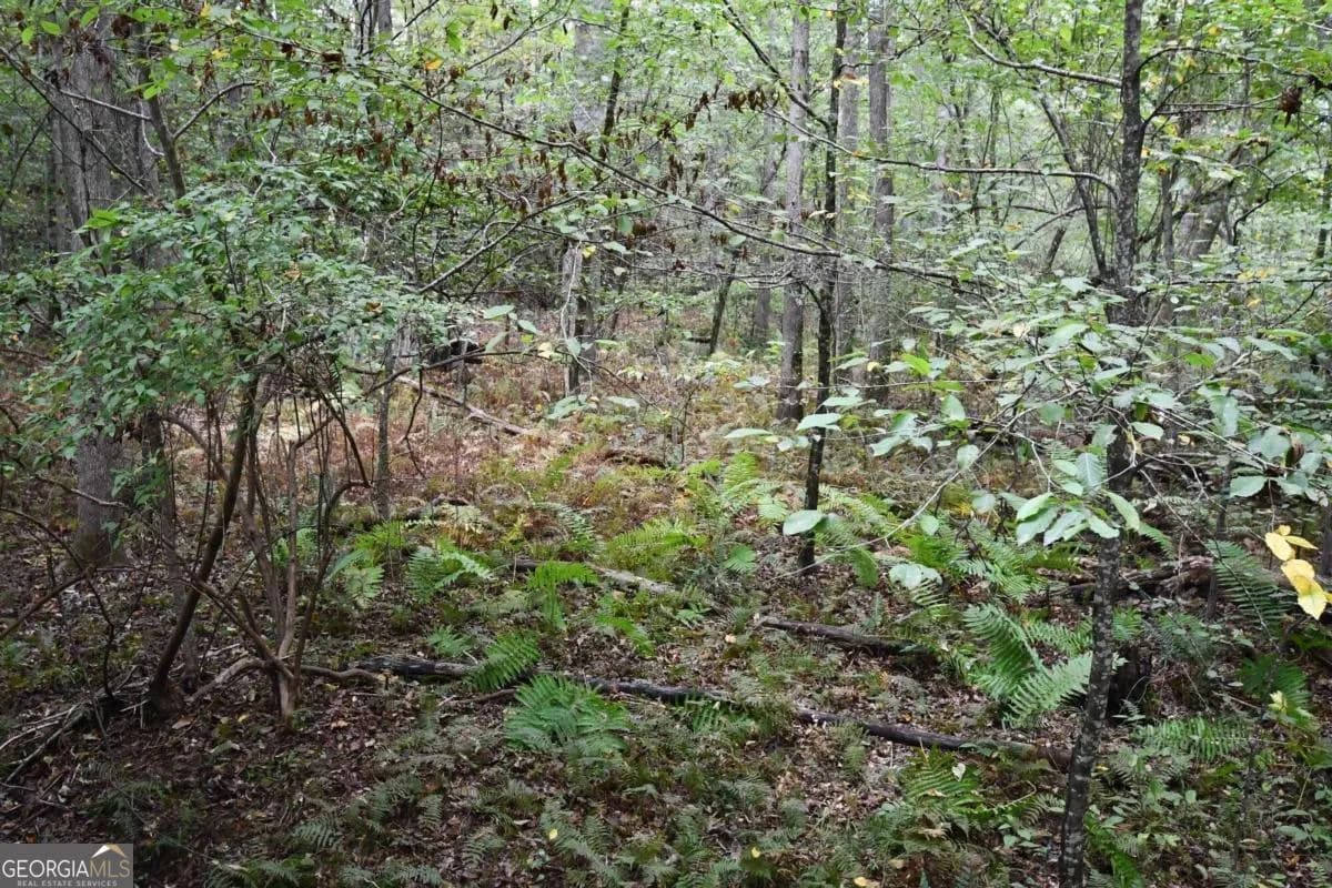 00001 Poplar Springs Rd — photo 38 of 71