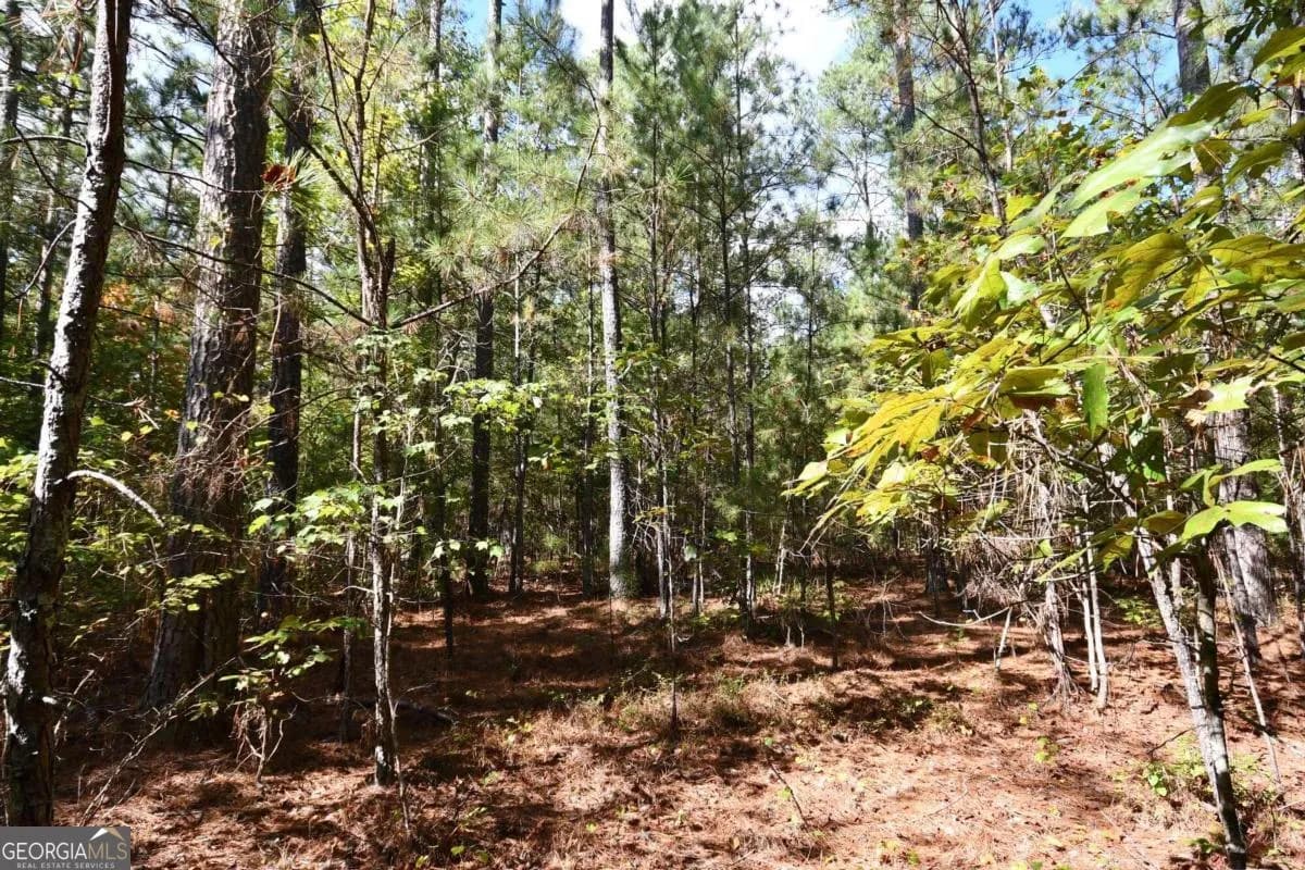 00001 Poplar Springs Rd — photo 24 of 71