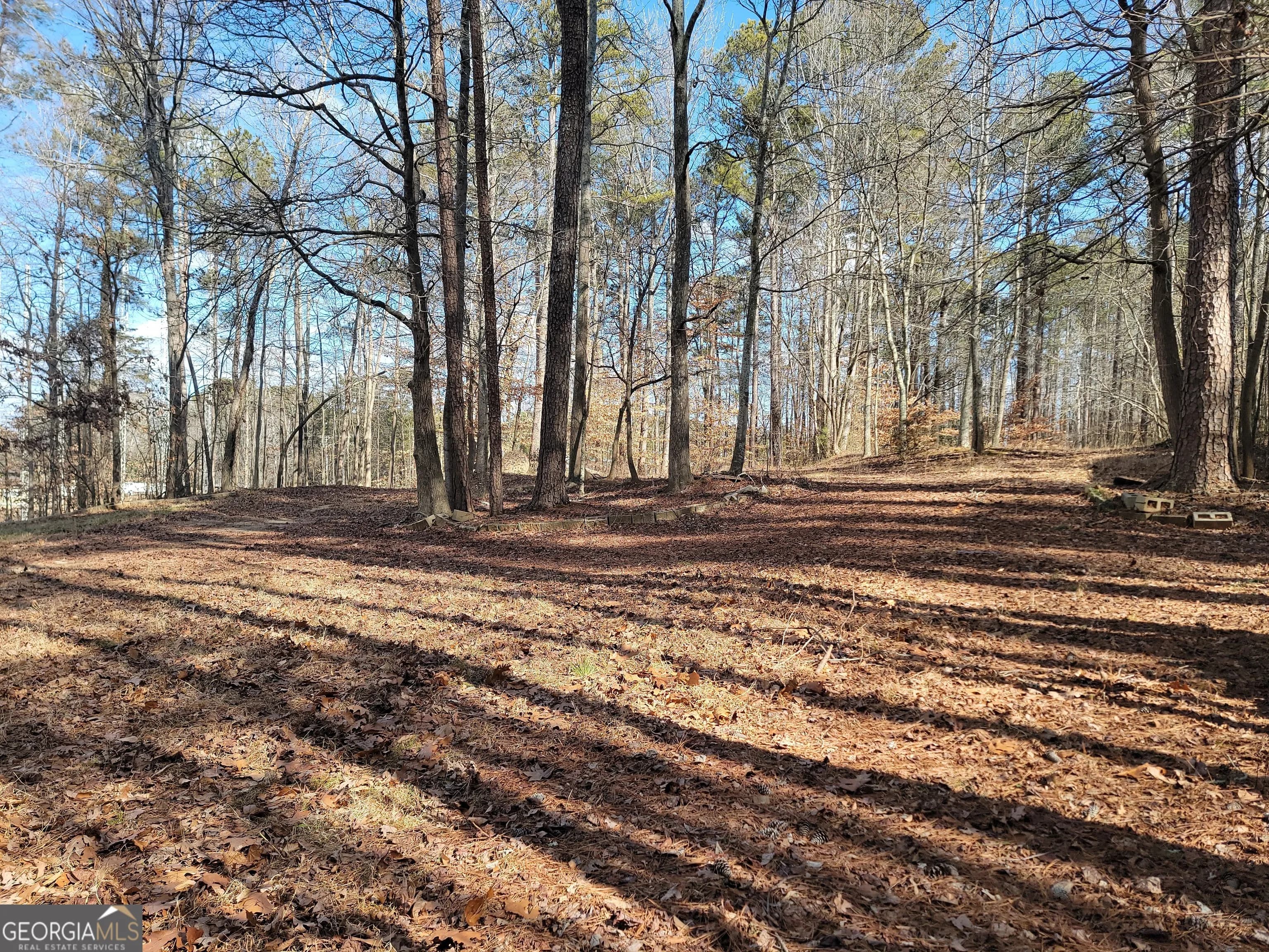 1855 S Flat Rock Rd — photo 4 of 51