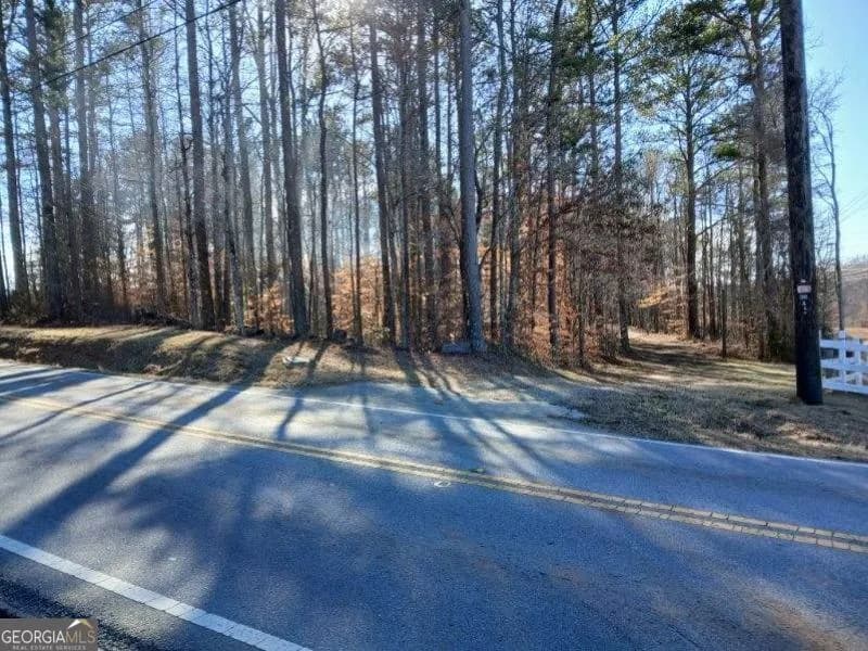 1855 S Flat Rock Rd — photo 45 of 51