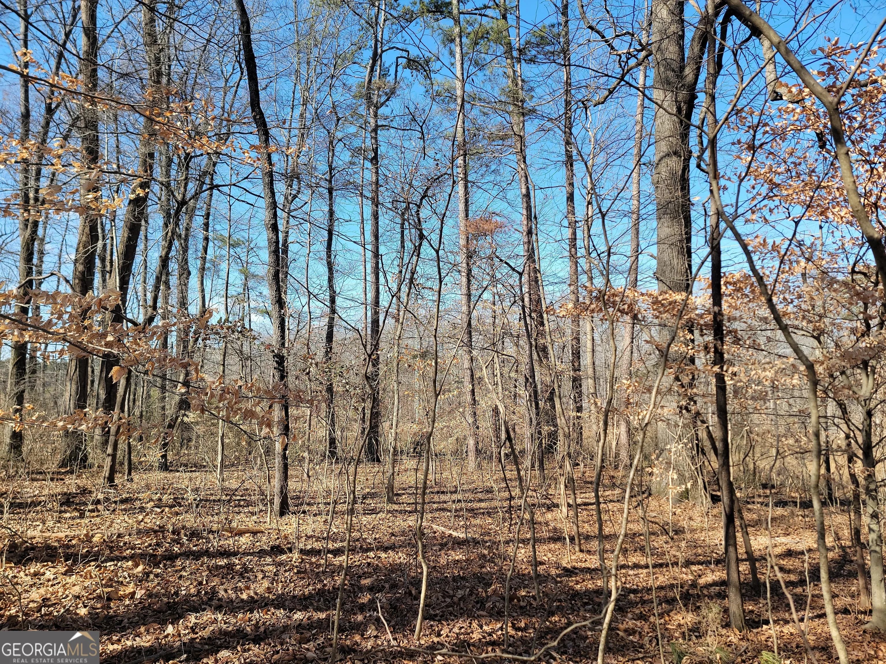 1855 S Flat Rock Rd — photo 15 of 51