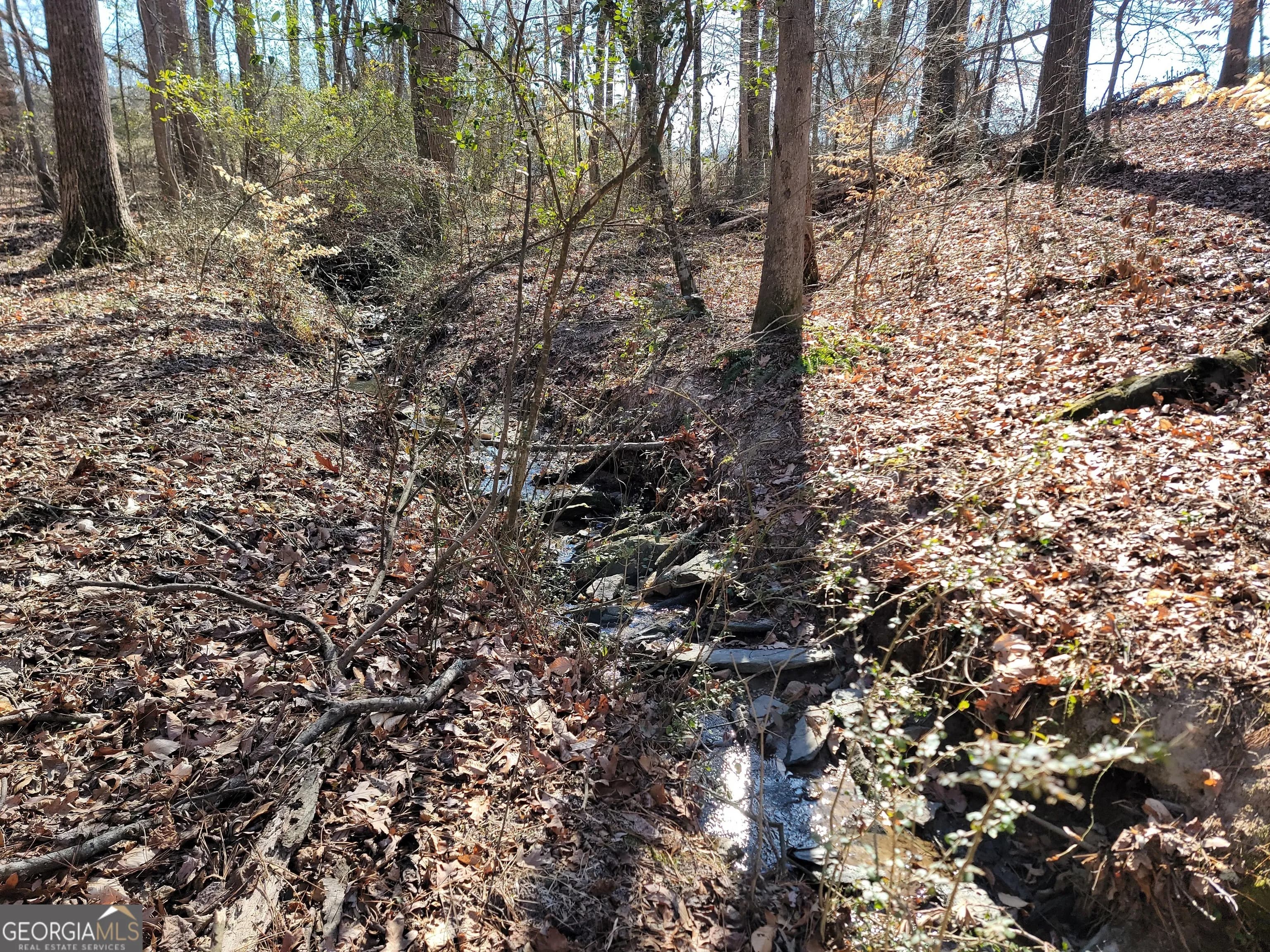 1855 S Flat Rock Rd — photo 19 of 51